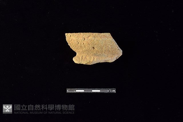 陶罐藏品圖，第1張