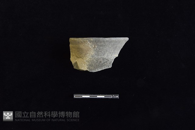 陶罐藏品圖，第1張