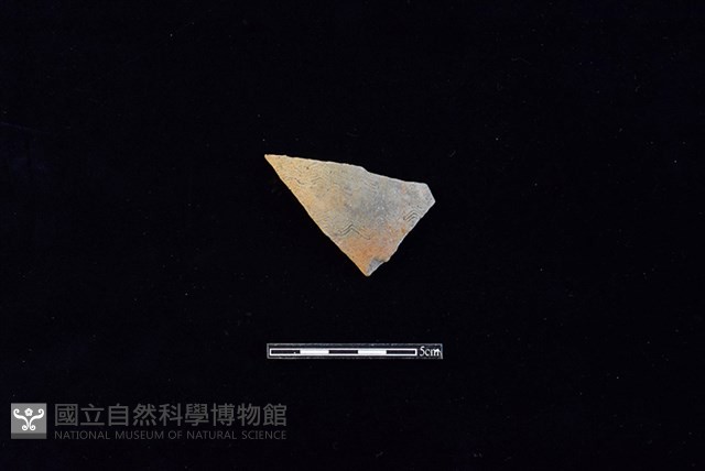 陶片藏品圖，第1張