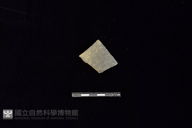 陶片藏品圖，第1張