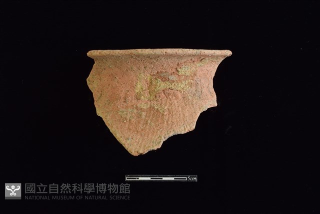 陶罐藏品圖，第1張
