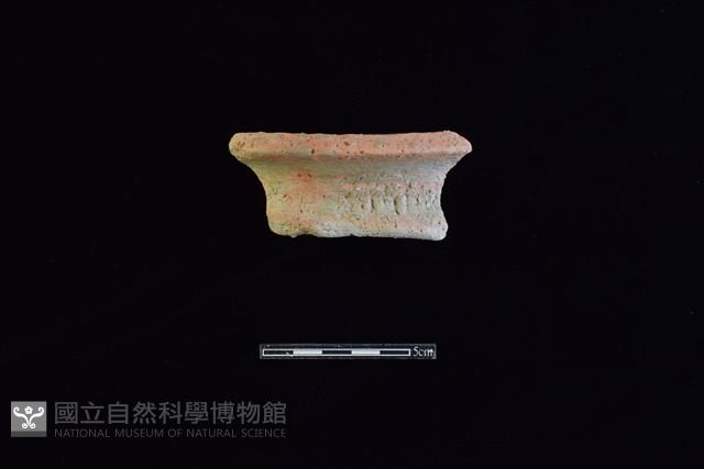 陶罐藏品圖，第1張