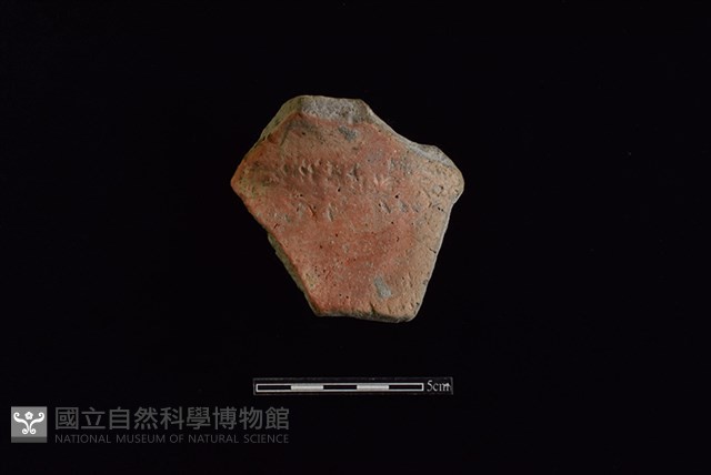 陶罐藏品圖，第1張