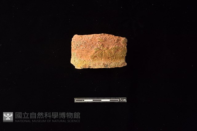 陶罐藏品圖，第1張