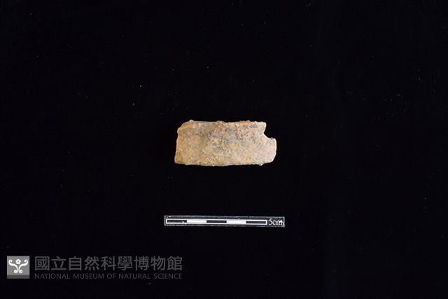 陶片藏品圖，第1張