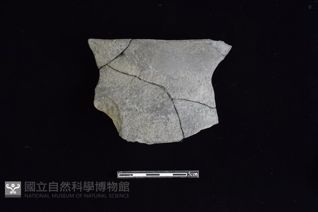 陶罐藏品圖，第1張
