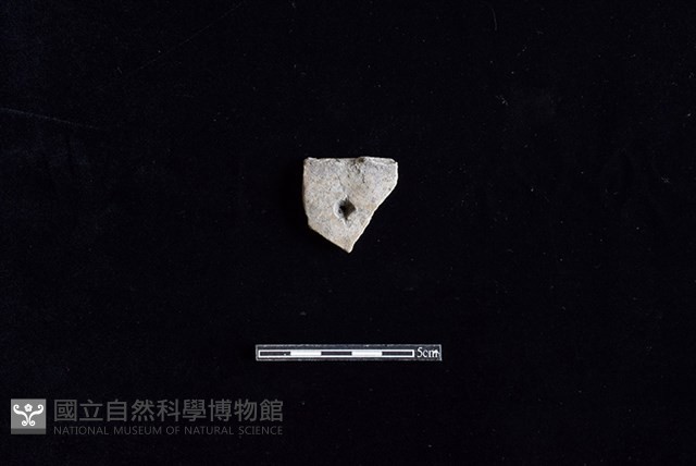 陶片藏品圖，第1張