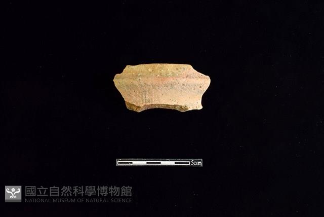 陶罐藏品圖，第1張