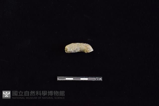 陶把藏品圖，第1張