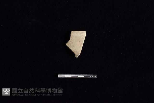 陶罐藏品圖，第1張