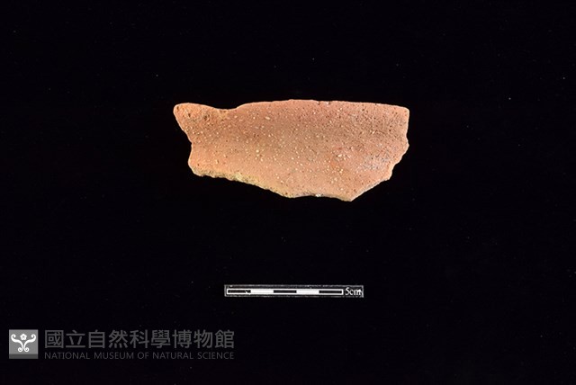 陶罐藏品圖，第1張