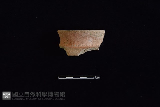 陶罐藏品圖，第1張