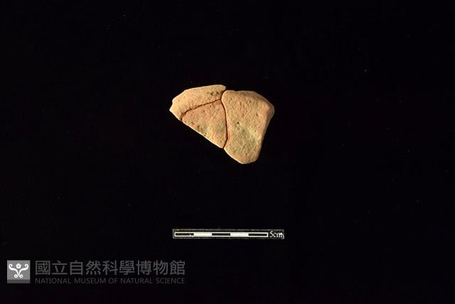 陶片藏品圖，第1張