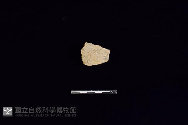 陶片藏品圖，第1張