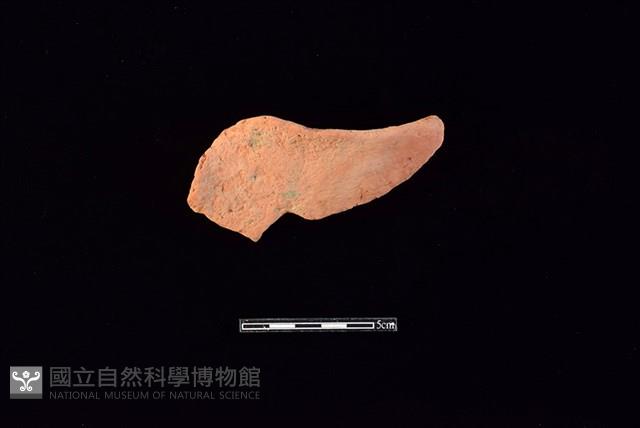 連杯形器藏品圖，第1張