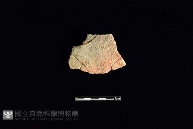 Accession Number:HLL-H PT0132 Collection Image, Figure 1, Total 2 Figures