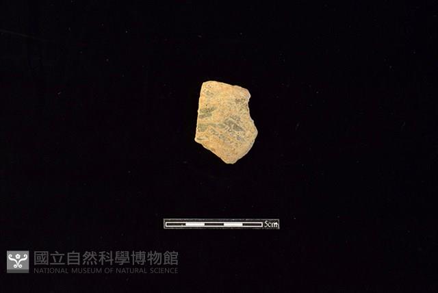 陶片藏品圖，第1張