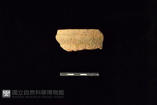 陶罐藏品圖，第1張