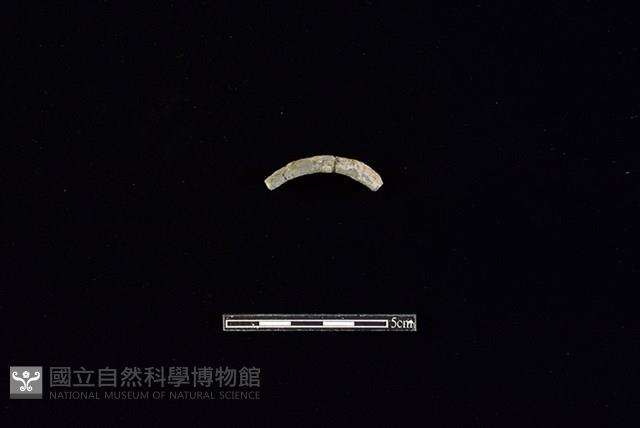 Accession Number:HLL-H PT0932 Collection Image, Figure 1, Total 2 Figures