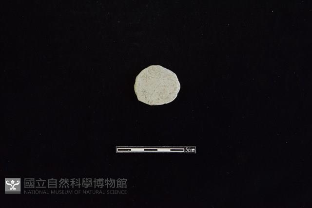 陶片藏品圖，第1張