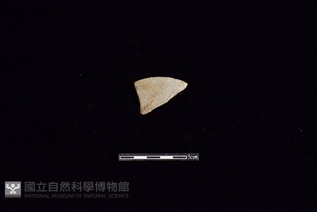 陶片藏品圖，第1張