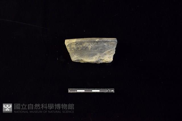 陶罐藏品圖，第1張