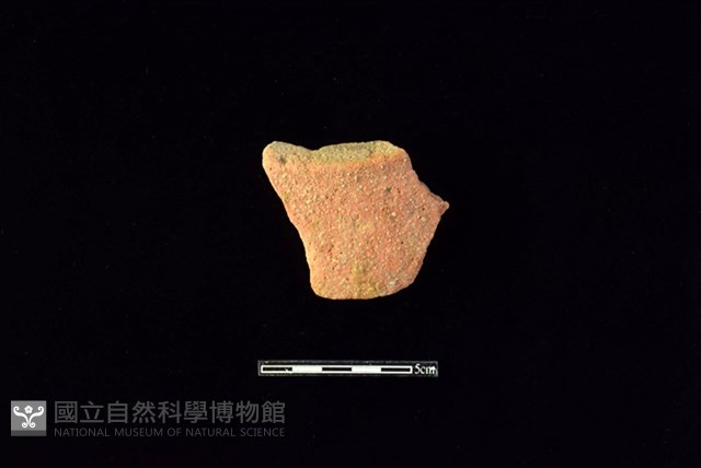 陶片藏品圖，第1張