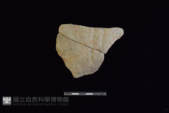陶片藏品圖，第1張