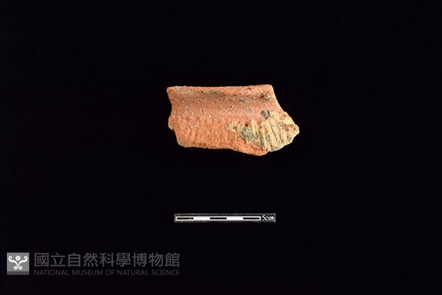 陶罐藏品圖，第1張