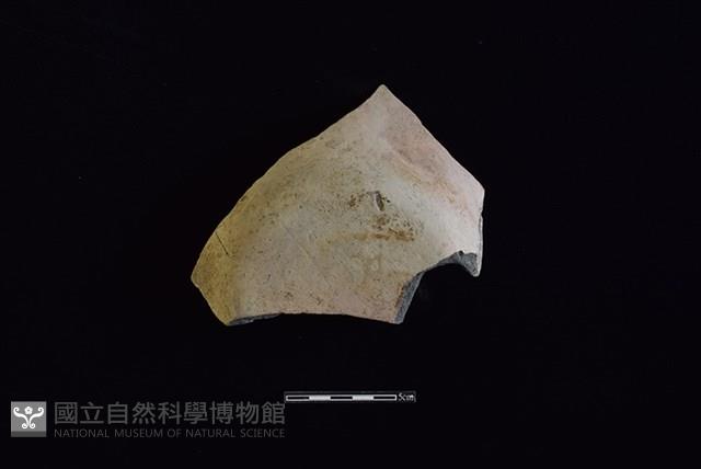 陶片藏品圖，第1張