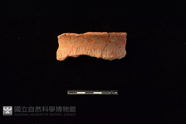 陶罐藏品圖，第1張
