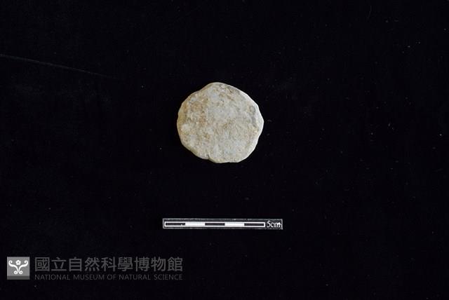 陶片藏品圖，第1張