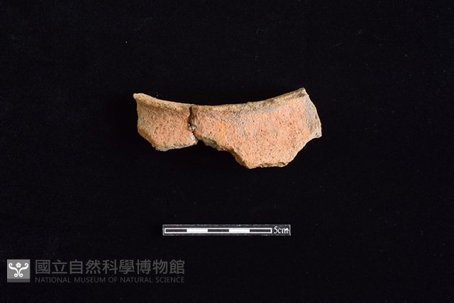 陶罐藏品圖，第1張