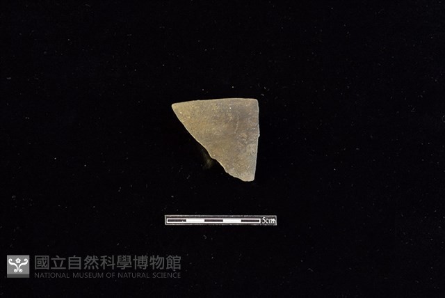 陶罐藏品圖，第1張