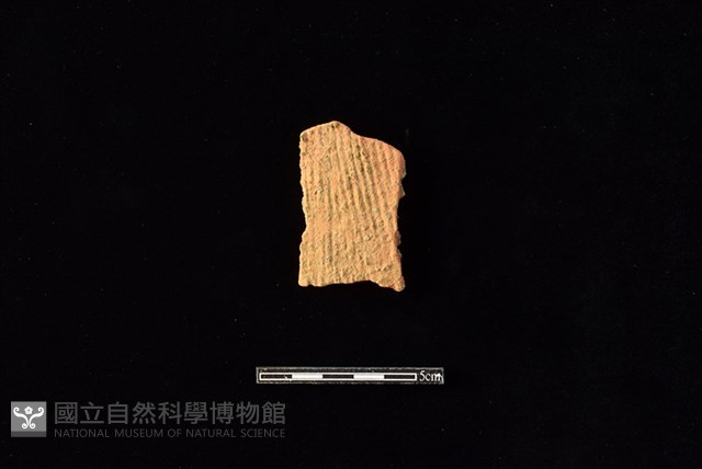 陶片藏品圖，第1張