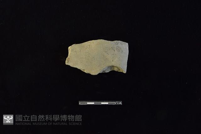 陶片藏品圖，第1張