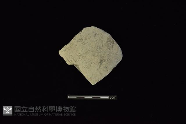 陶片藏品圖，第1張