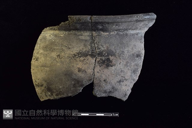 陶罐藏品圖，第1張