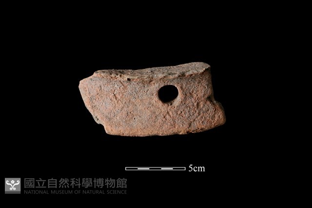 陶片藏品圖，第1張