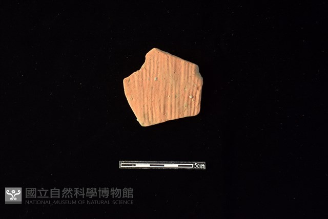 陶片藏品圖，第1張