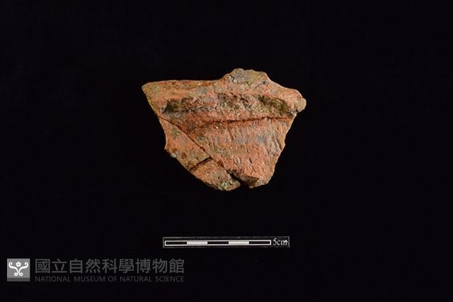 Accession Number:HLL-A PT0242 Collection Image, Figure 1, Total 2 Figures