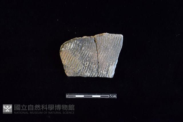 陶片藏品圖，第1張