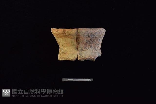 陶罐藏品圖，第1張