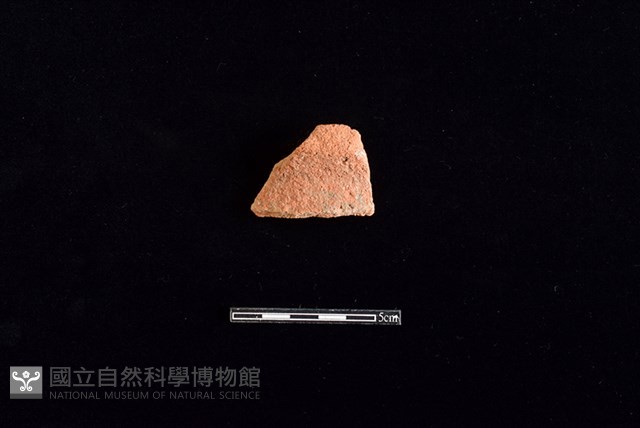 陶罐藏品圖，第1張