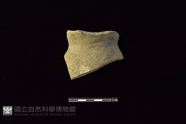 陶罐藏品圖，第1張