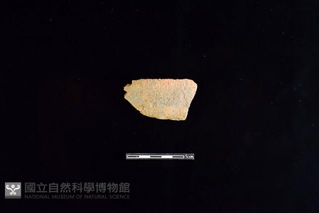 陶罐藏品圖，第1張