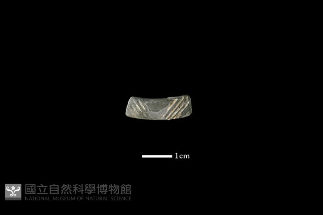 陶環藏品圖，第1張