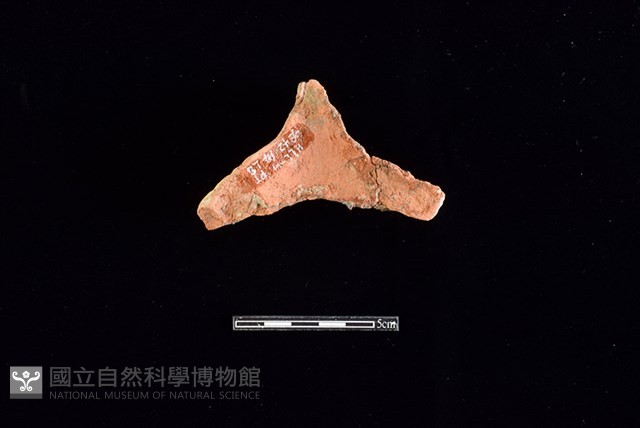 連杯形器藏品圖，第1張