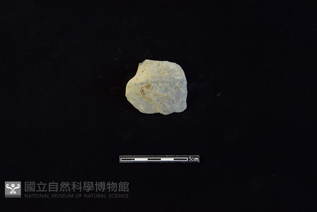 陶片藏品圖，第1張