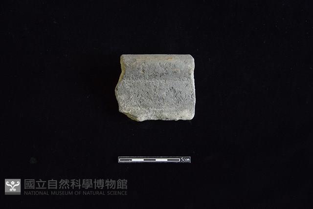 陶罐藏品圖，第1張